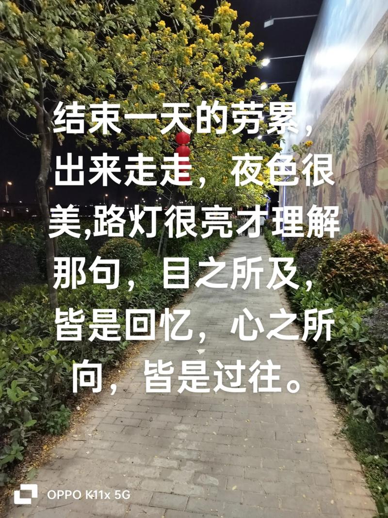 日有所思夜有所梦,怀念那些一起走过的日子 第1张 日有所思夜有所梦,怀念那些一起走过的日子 第1张