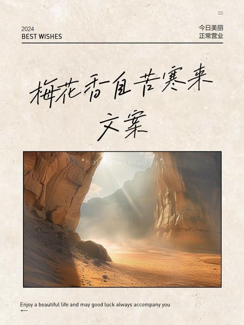 恕不令,梅花香柬弃否? 第1张 恕不令,梅花香柬弃否? 第1张
