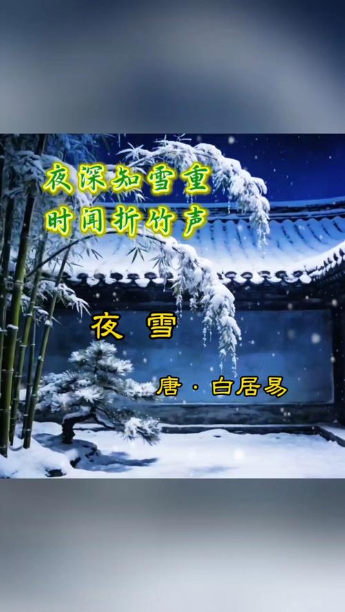 落雪轻逝,夜凉如水 第1张 落雪轻逝,夜凉如水 第1张