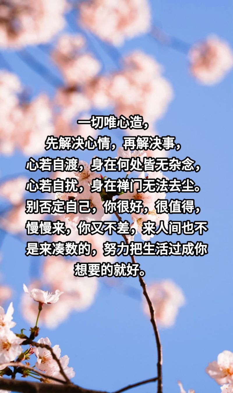 百般关心应念念 第1张 百般关心应念念 第1张