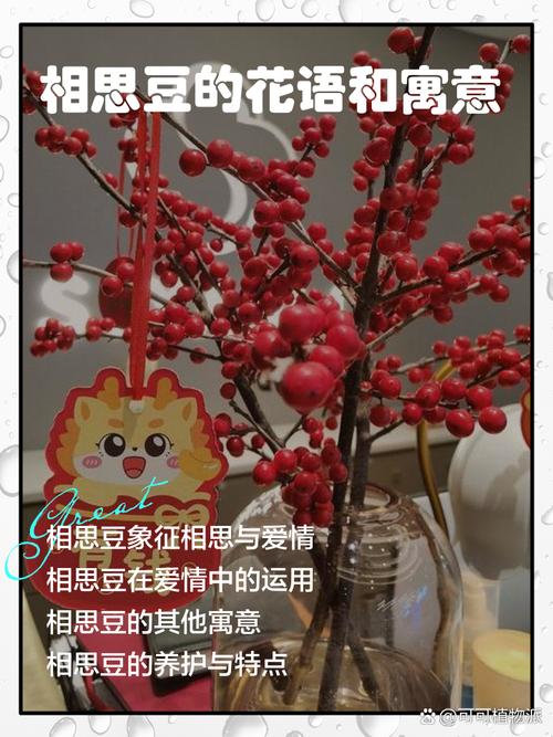 相思血泪与相思豆 第1张 相思血泪与相思豆 第1张