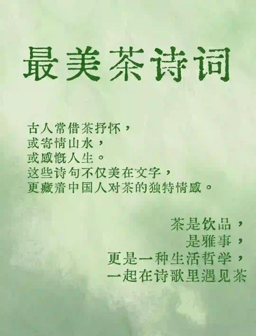 高雅别致,赏山茶花古诗词 第1张 高雅别致,赏山茶花古诗词 第1张