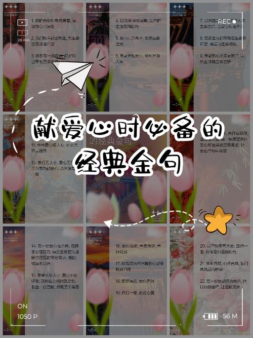关于奉献付出的格言(2) 第1张 关于奉献付出的格言(2) 第1张