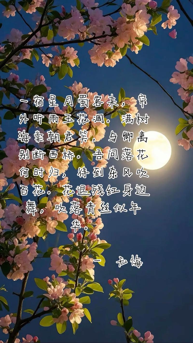 若见花开，聆风待葬，谁许你一世欢颜，谁伴你红尘清欢  第1张