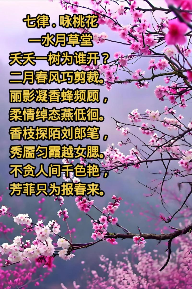 赏泉城公园桃花,赏桃花相关的唯美诗句 第1张 赏泉城公园桃花,赏桃花相关的唯美诗句 第1张