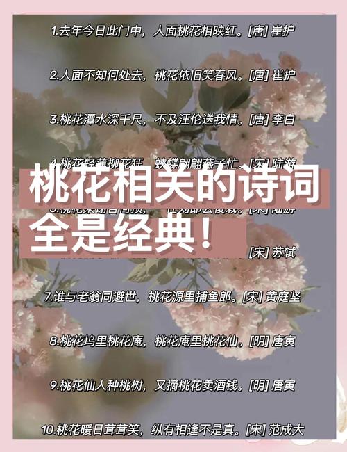 36首桃花诗词，首首经典，首首唯美  第1张