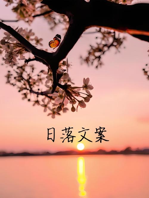 关于日落晚霞的温柔文案 第1张 关于日落晚霞的温柔文案 第1张