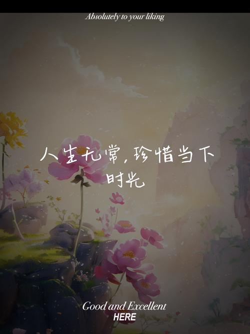 不负时光,珍惜当下 第1张 不负时光,珍惜当下 第1张