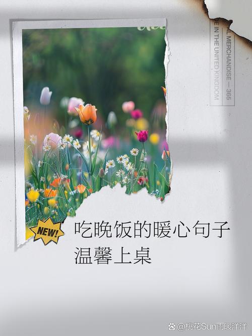 晚餐文案 第1张 晚餐文案 第1张