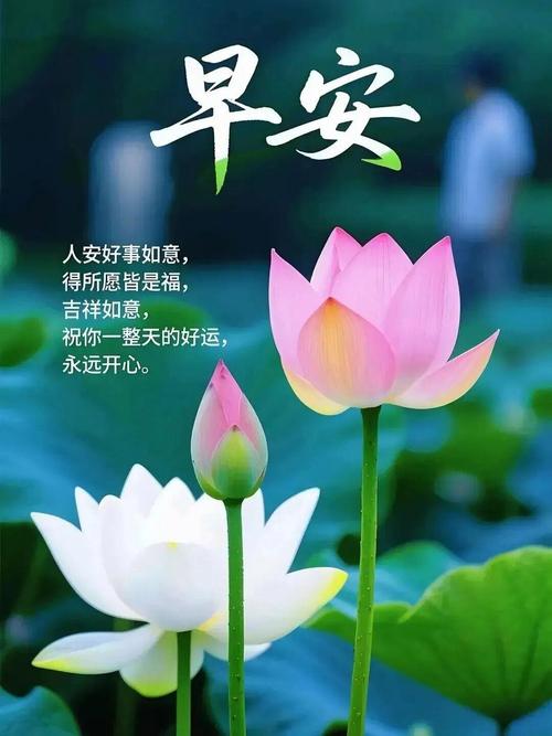 愿你在以后的日子里,永远开开心心,一帆风顺,早安 第1张 愿你在以后的日子里,永远开开心心,一帆风顺,早安 第1张