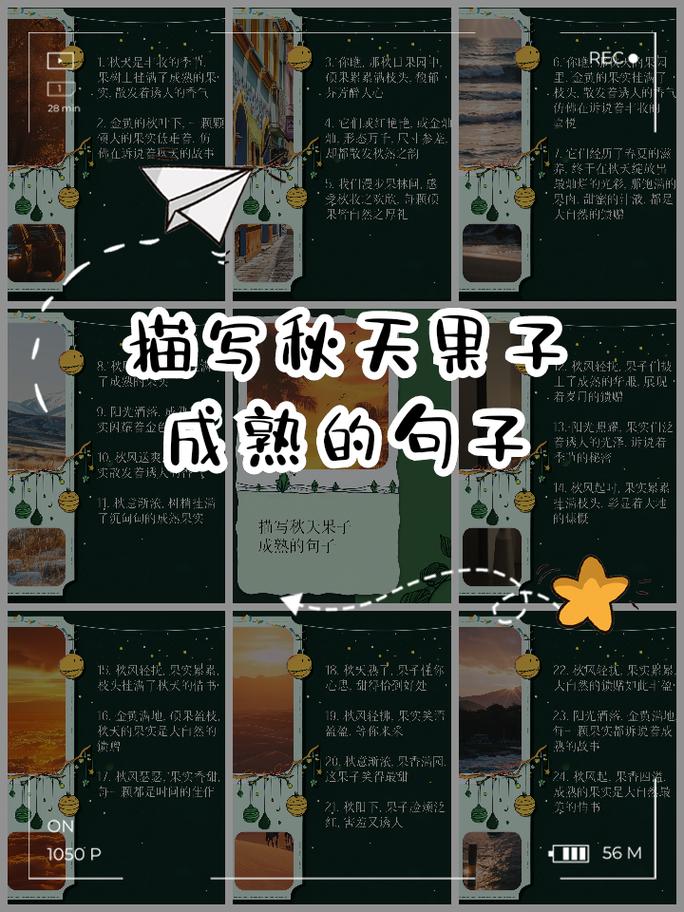 果子语录:一百四十二 第1张 果子语录:一百四十二 第1张