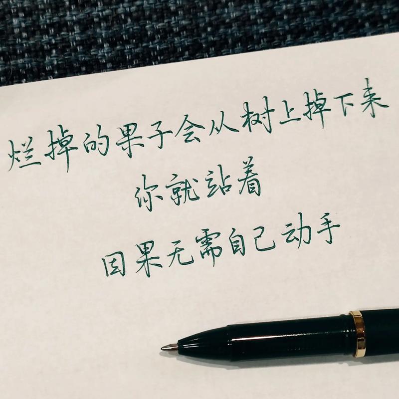 果子语录:七 第1张 果子语录:七 第1张