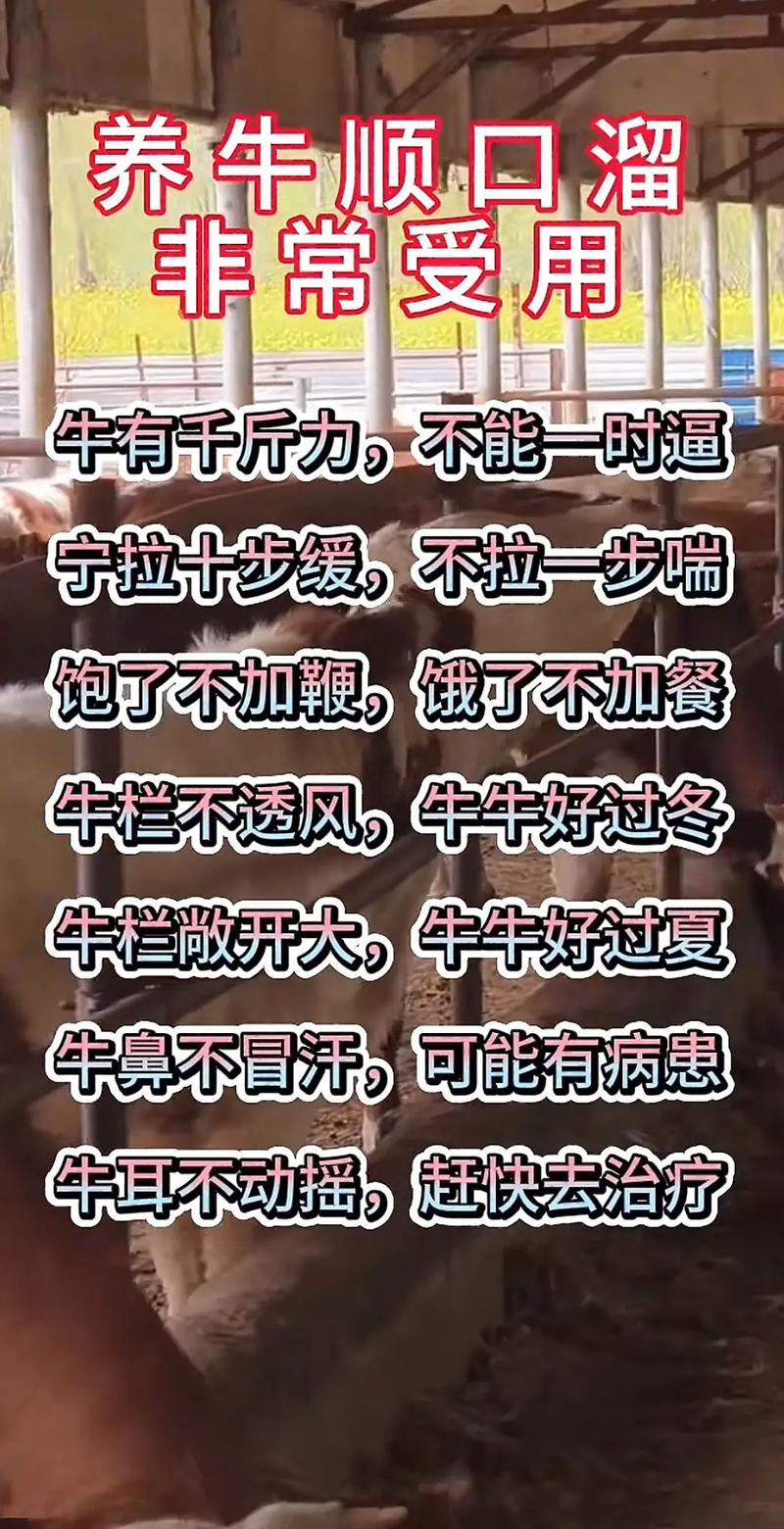 牛年到,老农说的这些俗语,有道理吗? 第1张 牛年到,老农说的这些俗语,有道理吗? 第1张