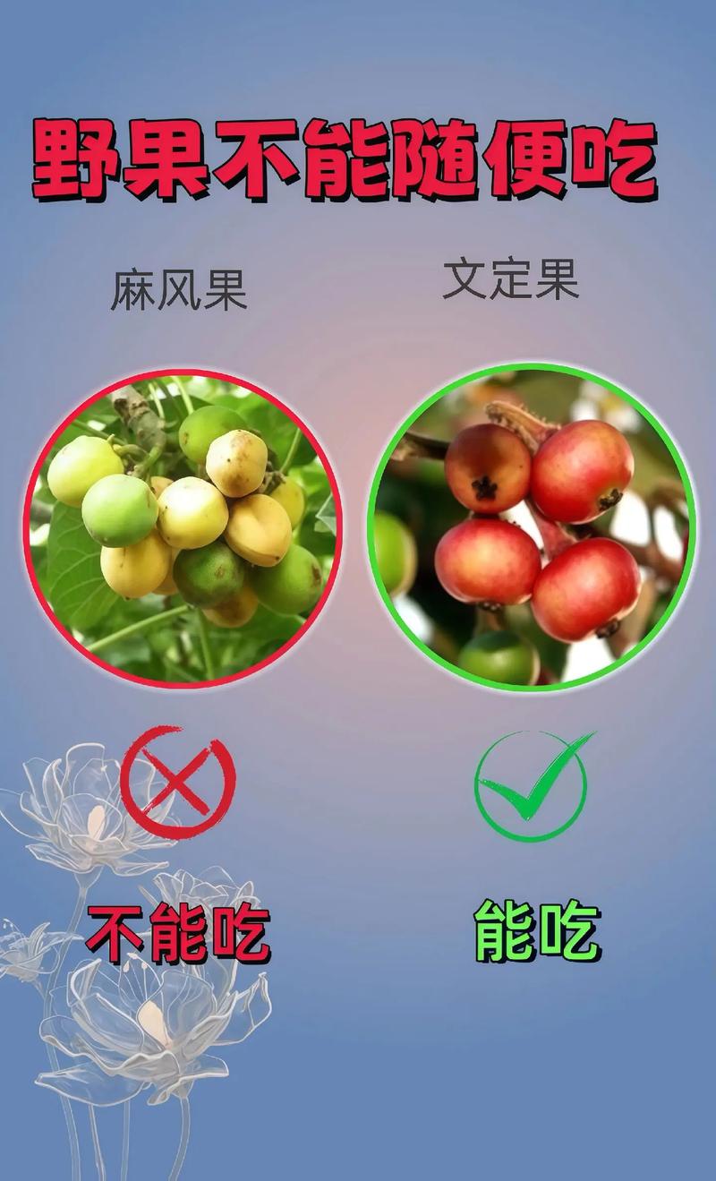 果子语录:一百五十二 第1张 果子语录:一百五十二 第1张