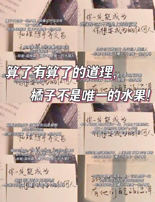 果子语录:一百四十九 第1张 果子语录:一百四十九 第1张