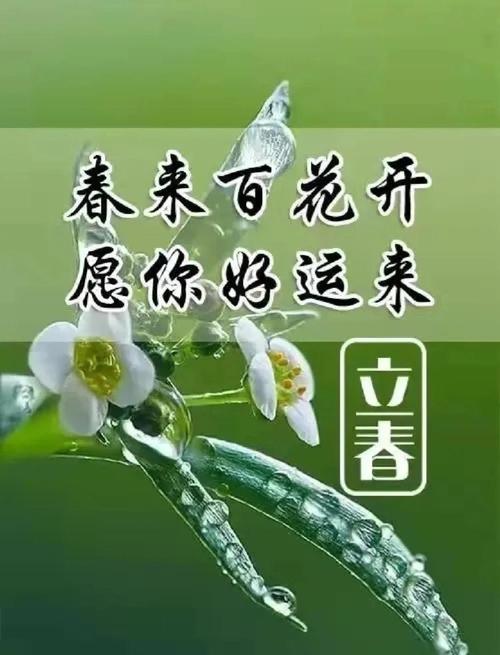 疫去春来,愿所有美好如约而至 第1张 疫去春来,愿所有美好如约而至 第1张