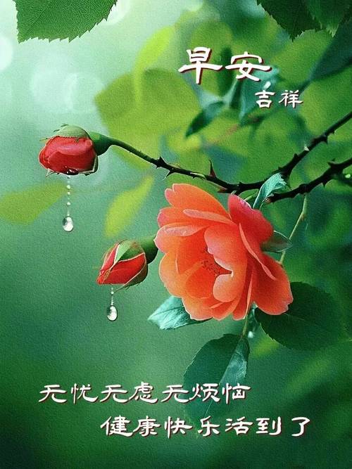免打字经典温馨问候祝福短语精选,清晨唯美漂亮祝福图文短句 第1张 免打字经典温馨问候祝福短语精选,清晨唯美漂亮祝福图文短句 第1张