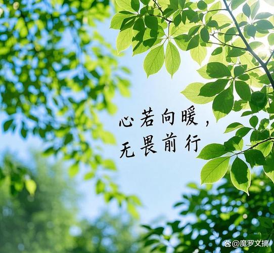 向阳而生,逐光而行,心有暖阳,不惧沧桑 第1张 向阳而生,逐光而行,心有暖阳,不惧沧桑 第1张