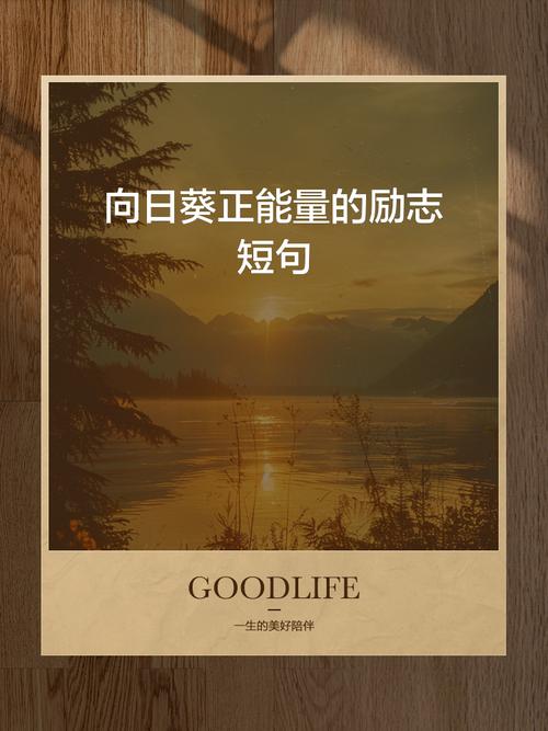朋友圈温柔而强大的句子,向下扎根,向上努力,向阳而生 第1张 朋友圈温柔而强大的句子,向下扎根,向上努力,向阳而生 第1张