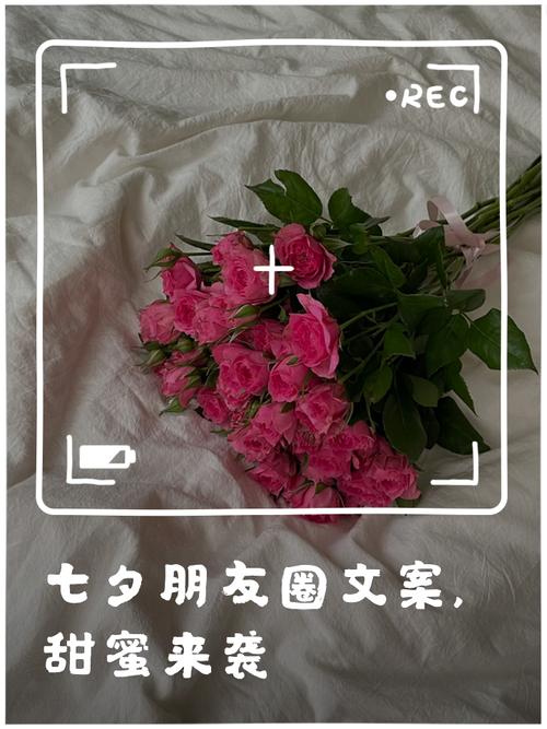 甜蜜的七夕纪念日文案 第1张 甜蜜的七夕纪念日文案 第1张