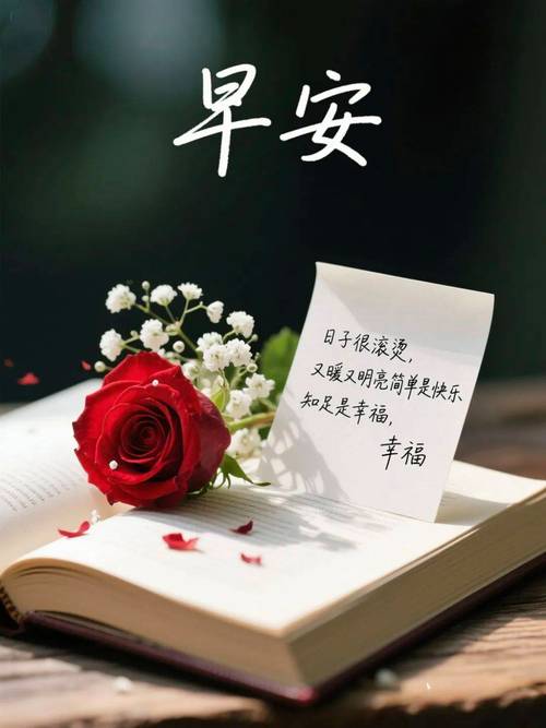 朋友圈早上最暖心窝的唯美说说句子 第1张 朋友圈早上最暖心窝的唯美说说句子 第1张