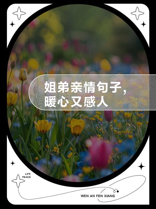 与亲情有关的走心文案,很走心,很温馨! 第1张 与亲情有关的走心文案,很走心,很温馨! 第1张