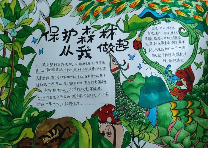 世界森林日|守护地球“绿肺”,共筑美好家园 第1张 世界森林日|守护地球“绿肺”,共筑美好家园 第1张