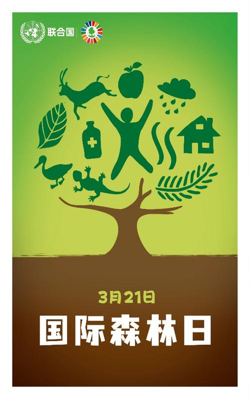「世界森林日」守护“森”呼吸,爱护绿色家园,从点滴做起 第1张 「世界森林日」守护“森”呼吸,爱护绿色家园,从点滴做起 第1张