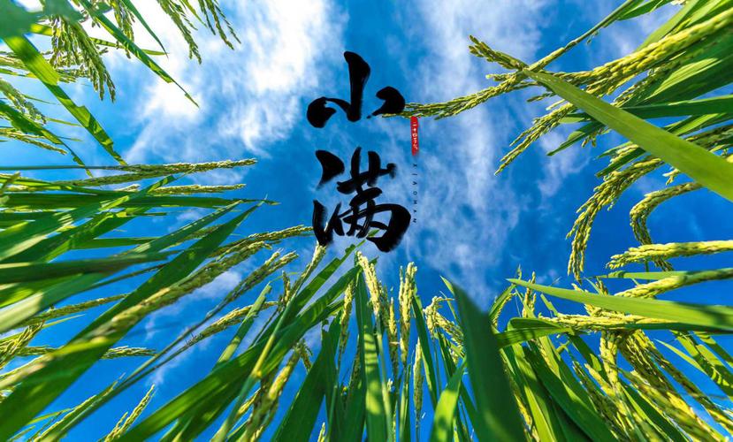 符纯荣专栏｜入夏说阵雨  第1张