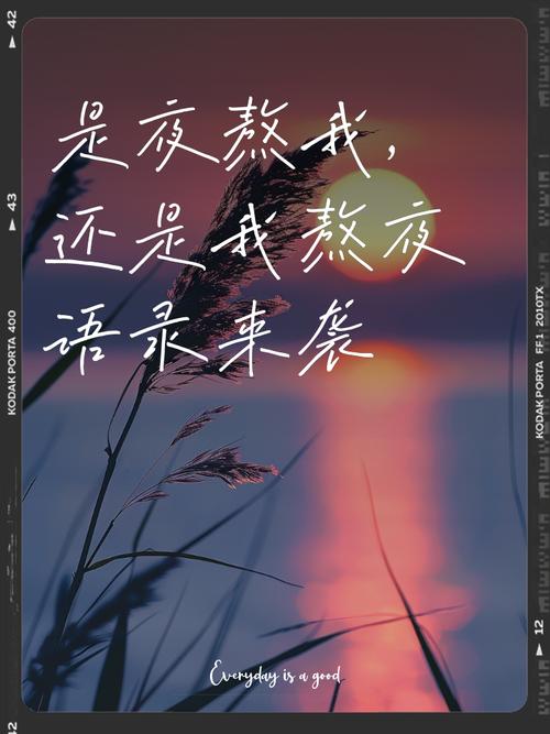 关于熬夜的朋友圈文案 第1张 关于熬夜的朋友圈文案 第1张