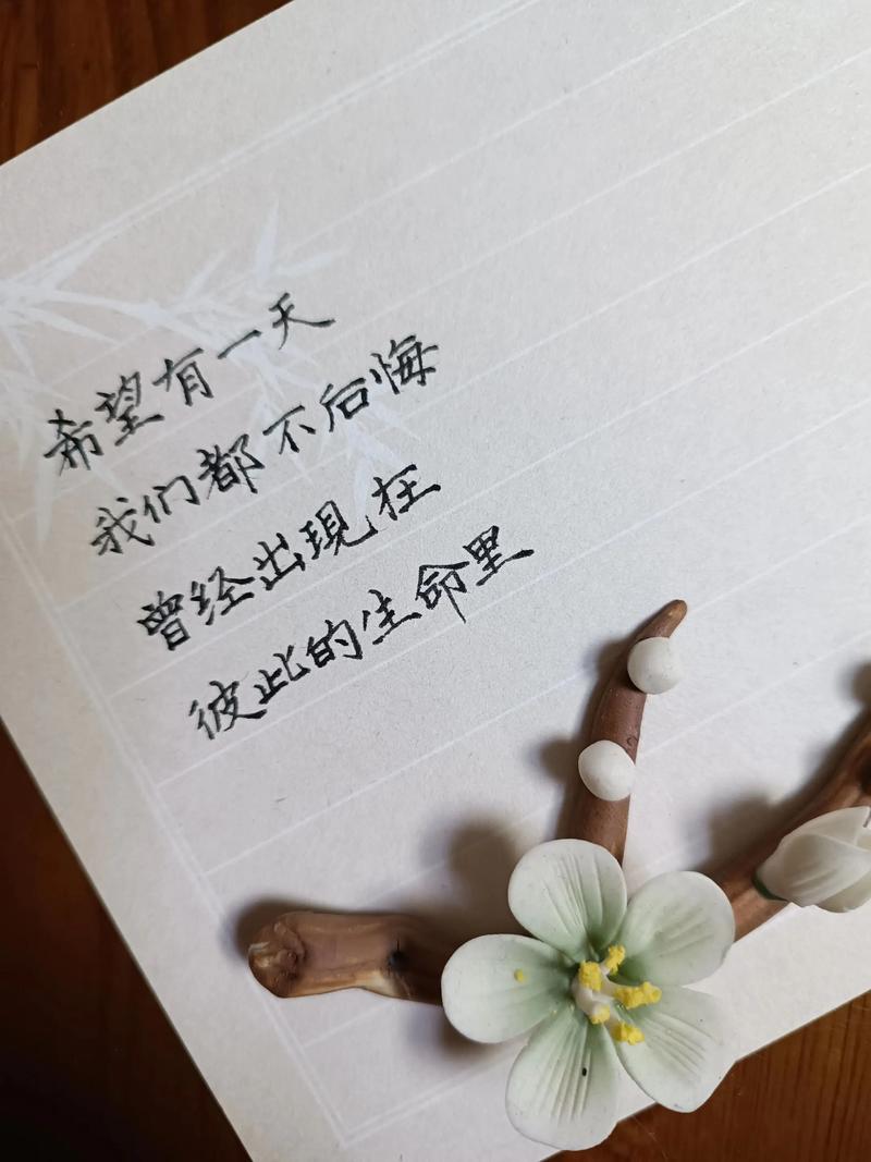 我们曾经相逢过  第1张