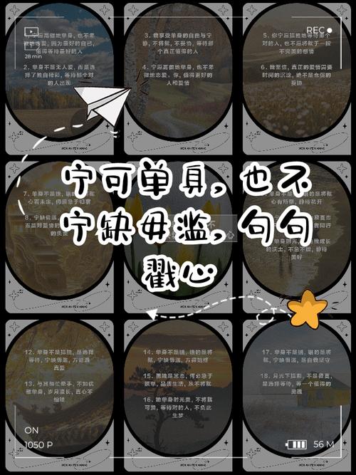 有一种单身叫“宁缺毋滥” 第1张 有一种单身叫“宁缺毋滥” 第1张