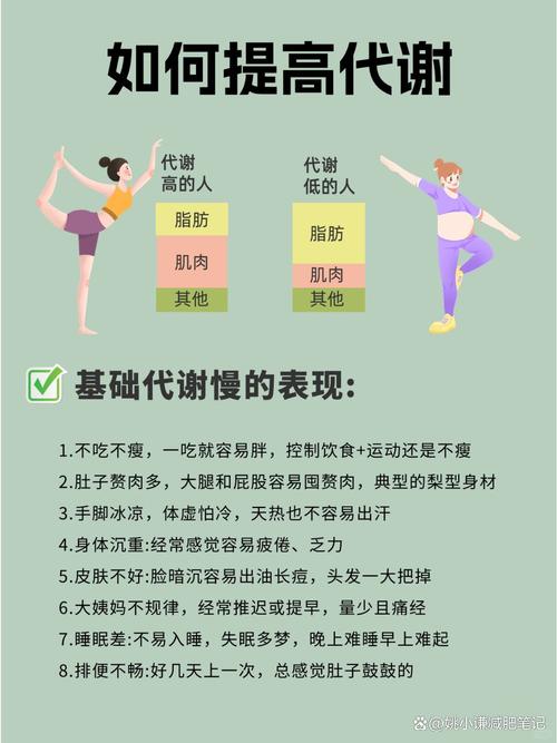 提高基础代谢率 加速燃脂  第1张