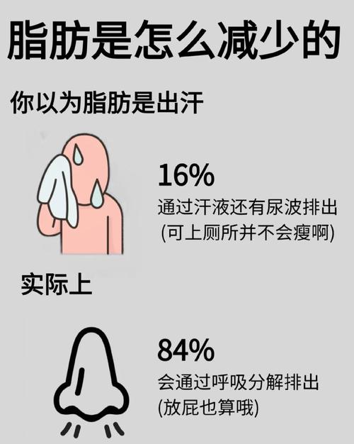 如何消耗脂肪 第1张 如何消耗脂肪 第1张