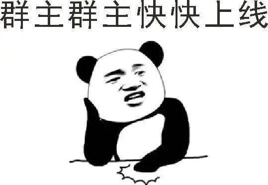 群主 第1张 群主 第1张