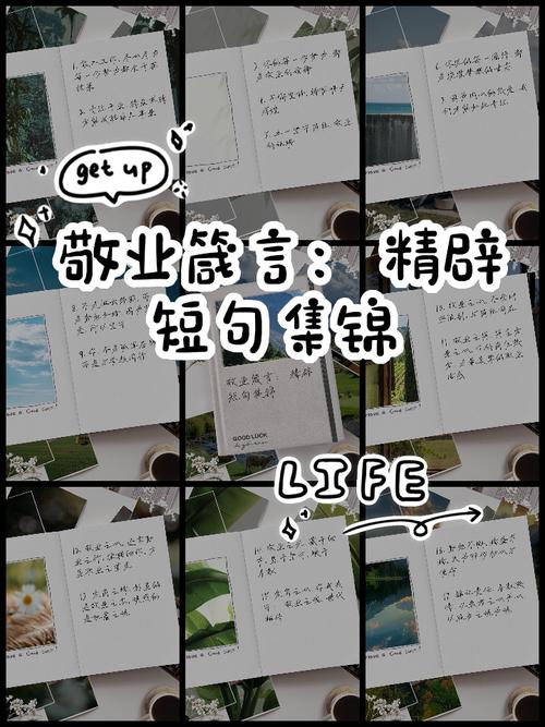 素材积累:形容默默奉献的诗句 第1张 素材积累:形容默默奉献的诗句 第1张
