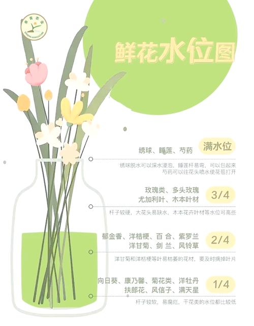延长鲜花保鲜期的保养方法  第1张