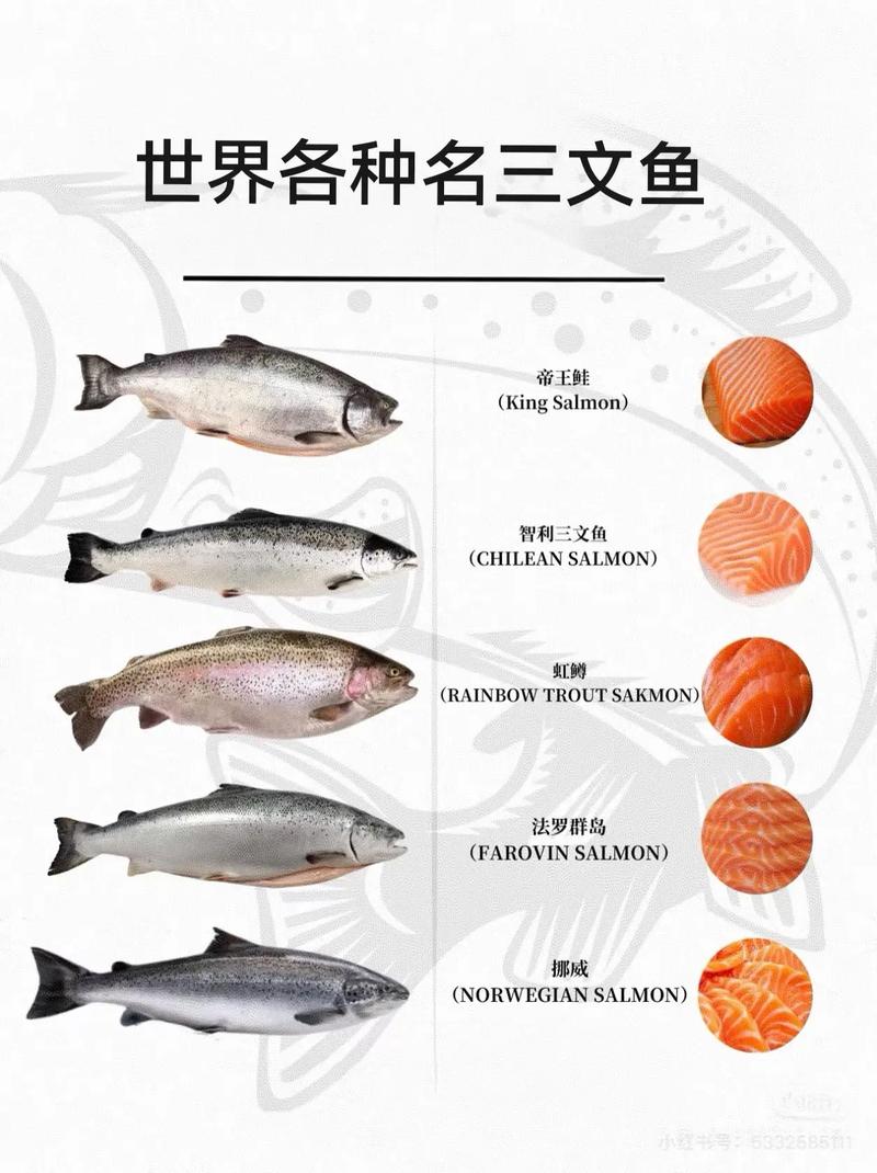 区别  第1张