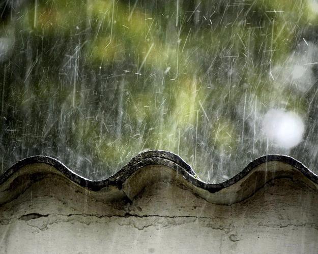 久违的雨  第1张