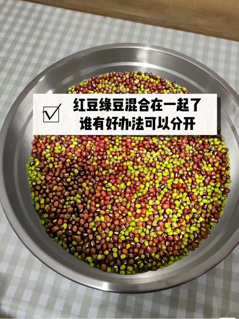 红豆缘 第1张 红豆缘 第1张