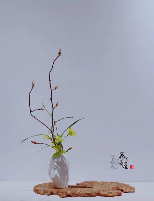 茶席上,听花开的声音 第1张 茶席上,听花开的声音 第1张