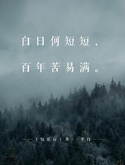 天地初寒,愿岁月安暖 第1张 天地初寒,愿岁月安暖 第1张
