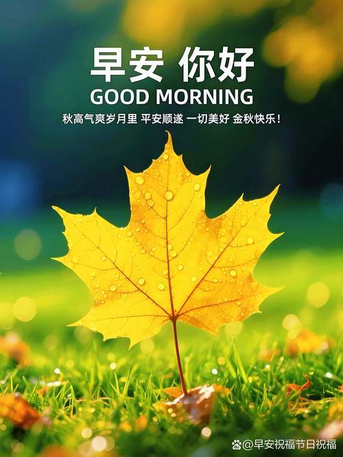 愿我的祝福,让你每天都会开心满怀,幸福常在,朋友,早安! 第1张 愿我的祝福,让你每天都会开心满怀,幸福常在,朋友,早安! 第1张