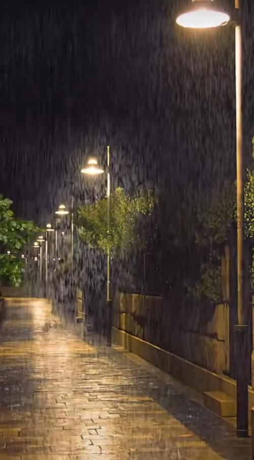 倾听雨声,在未央的夜里 第1张 倾听雨声,在未央的夜里 第1张