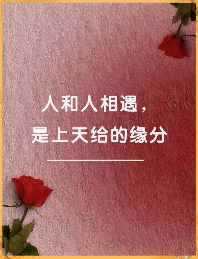 有一种缘分,叫认识你真好,爱了永不后悔,结果不重要 第1张 有一种缘分,叫认识你真好,爱了永不后悔,结果不重要 第1张