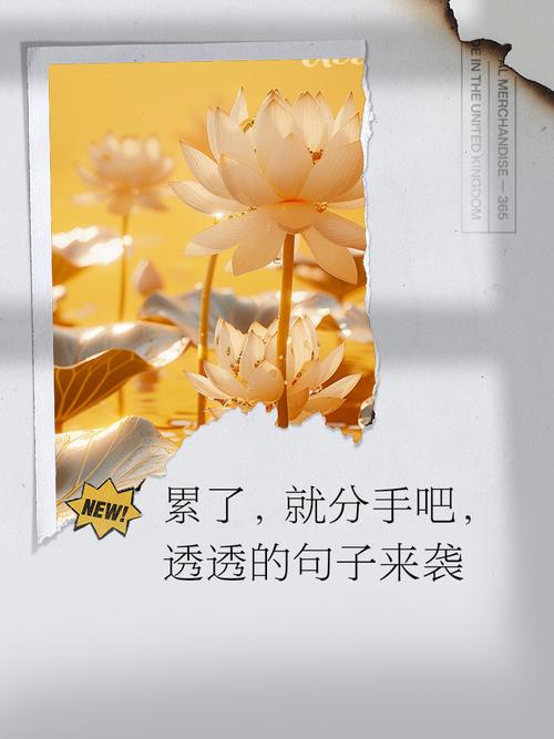 伤感的句子 | 该放弃就放弃,该走就走吧 第1张 伤感的句子 | 该放弃就放弃,该走就走吧 第1张