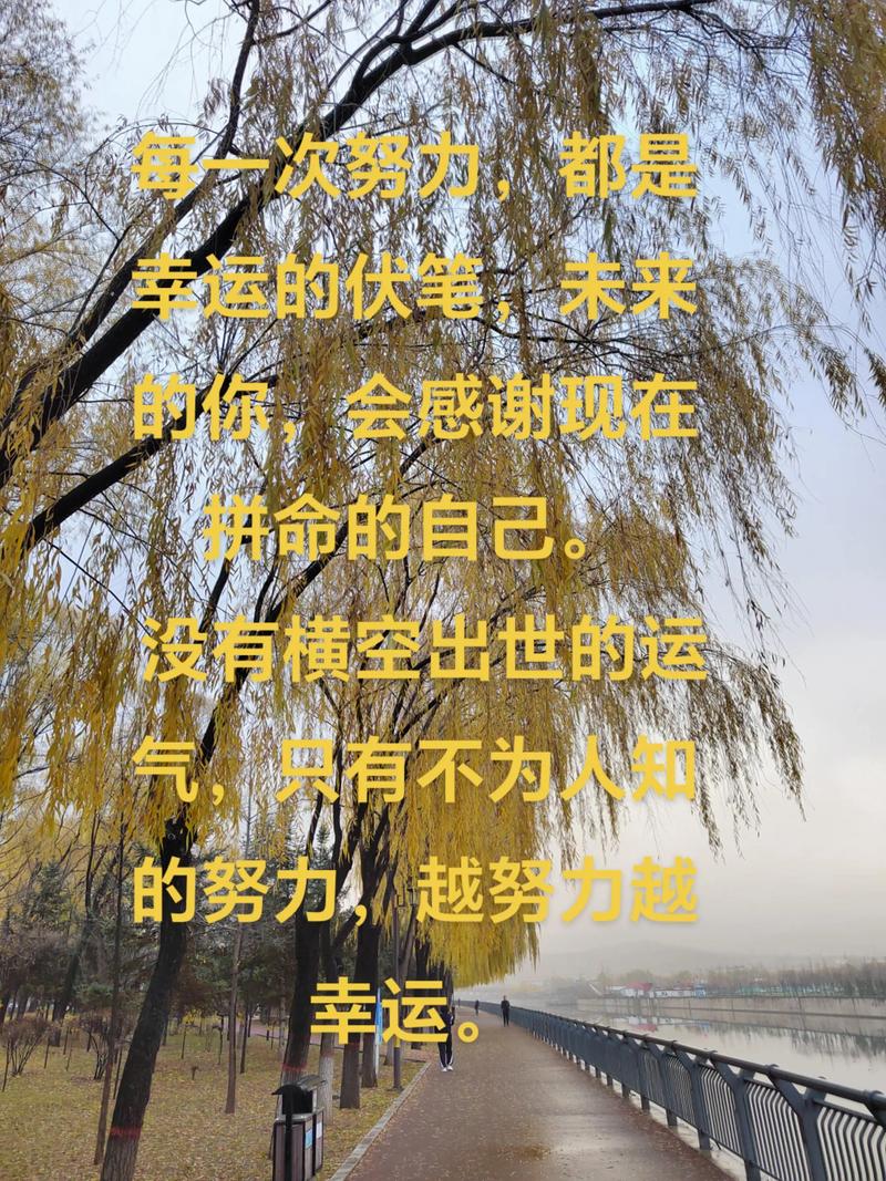 人生感悟的句子，走自己的道路，越努力越幸运  第1张