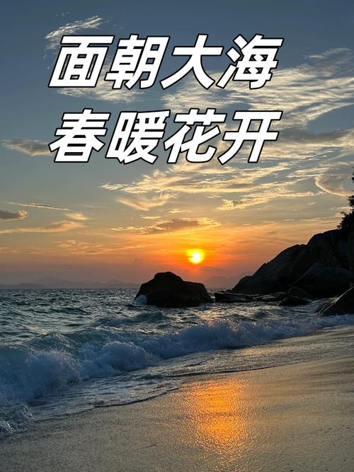 面朝大海心向阳开 第1张 面朝大海心向阳开 第1张