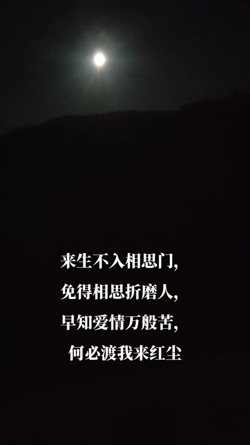 夜未央,人未眠 第1张 夜未央,人未眠 第1张