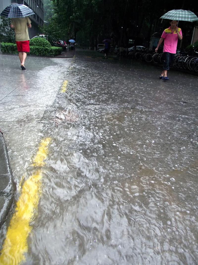 雨,下过 第1张 雨,下过 第1张